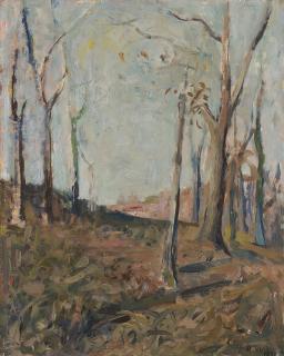 Alberto Vitali - Paesaggio