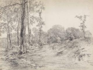 Albertus Brondgeest - A wooded clearing at Randenbroek near Amersfoort