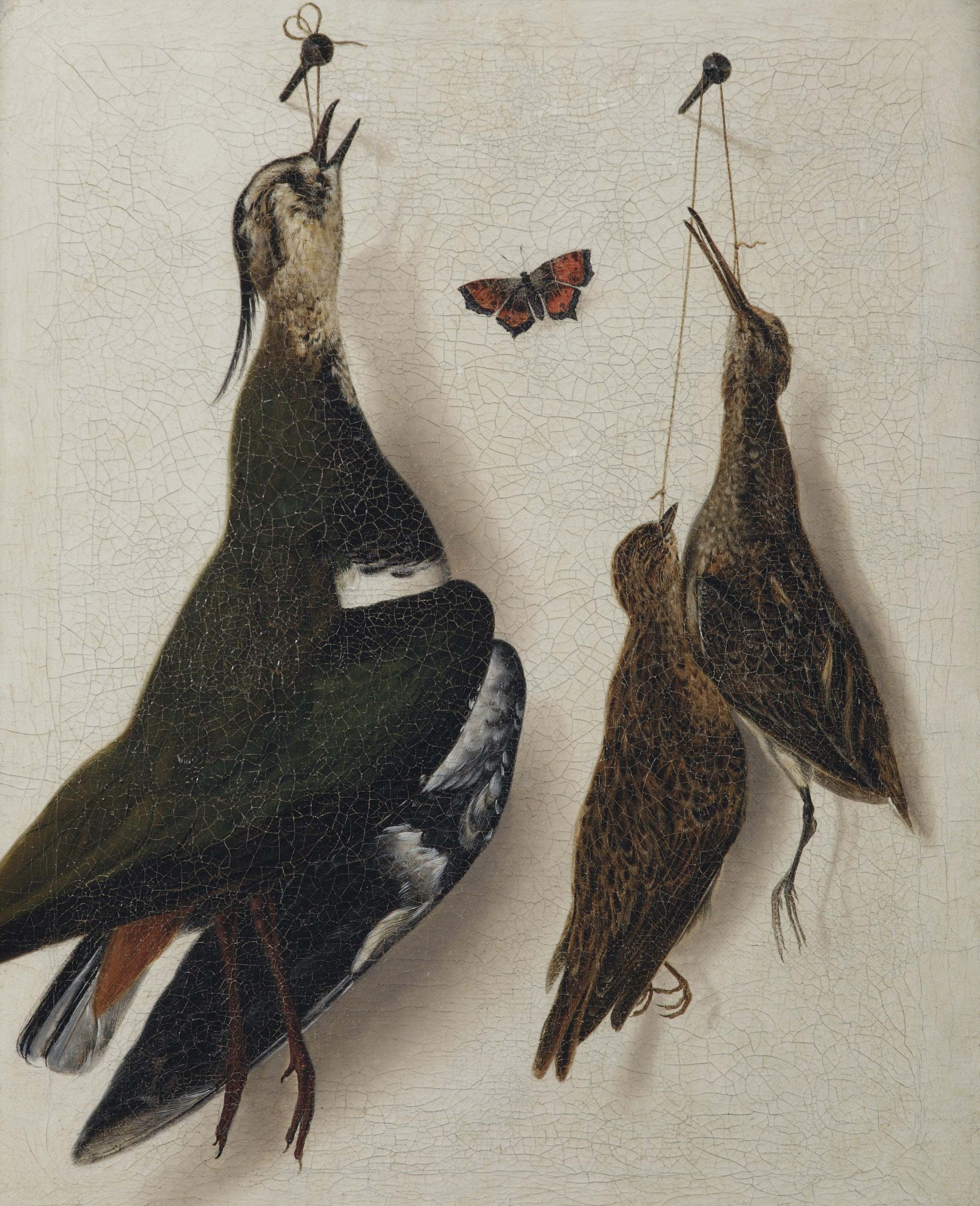 Albertus Jonas Brandt - A plover, a longbill and a mistle-thrush hanging from a nail, with a red butterfly