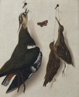 Albertus Jonas Brandt - A plover, a longbill and a mistle-thrush hanging from a nail, with a red butterfly