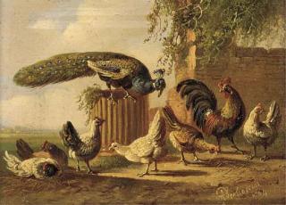 Albertus Verhoesen - A peacock and poultry in a farmyard; and Another similar