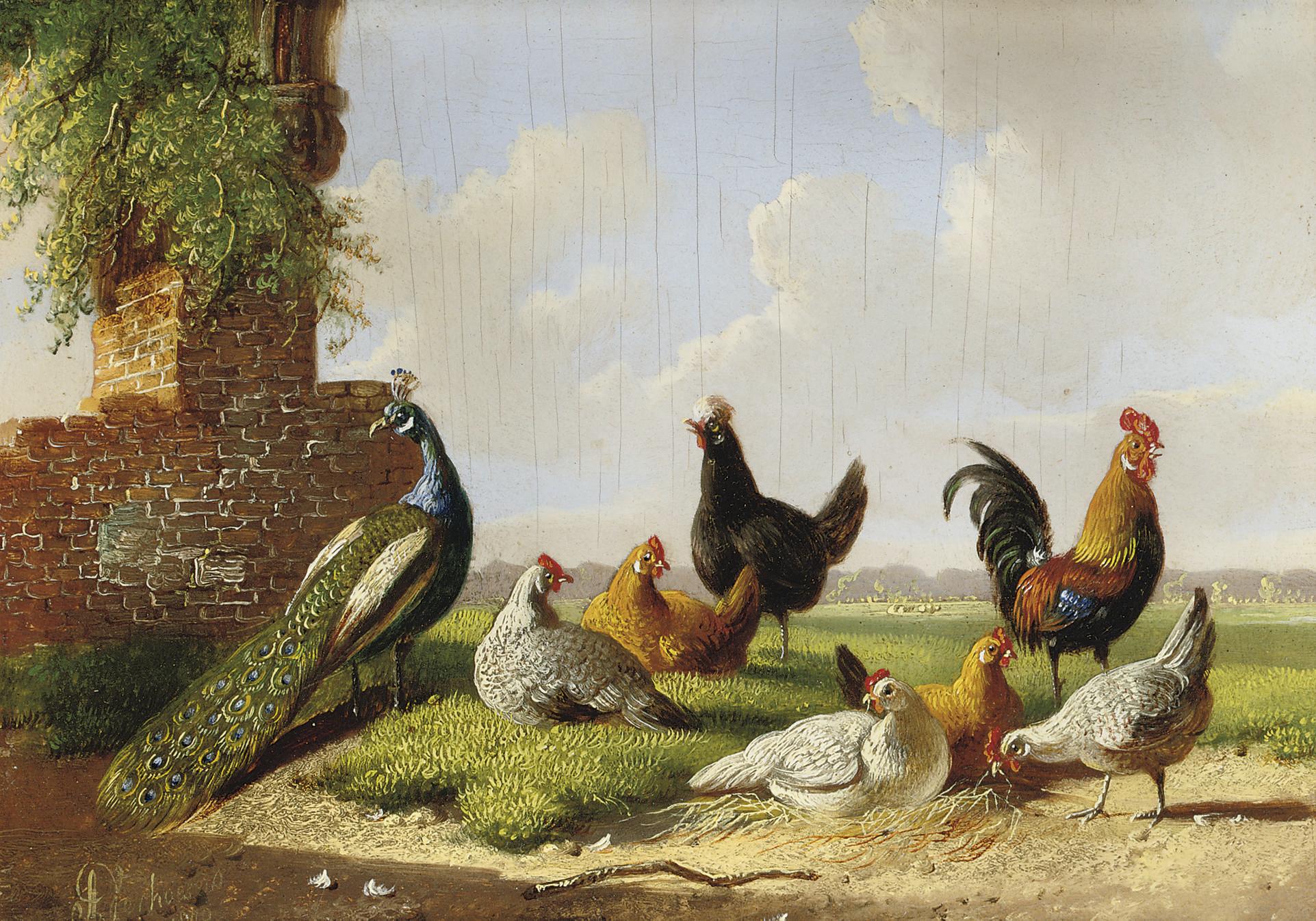 Albertus Verhoesen - A peacock, rooster and hens in a landscape