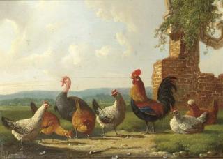 Albertus Verhoesen - A rooster, chickens and a turkey by a ruin
