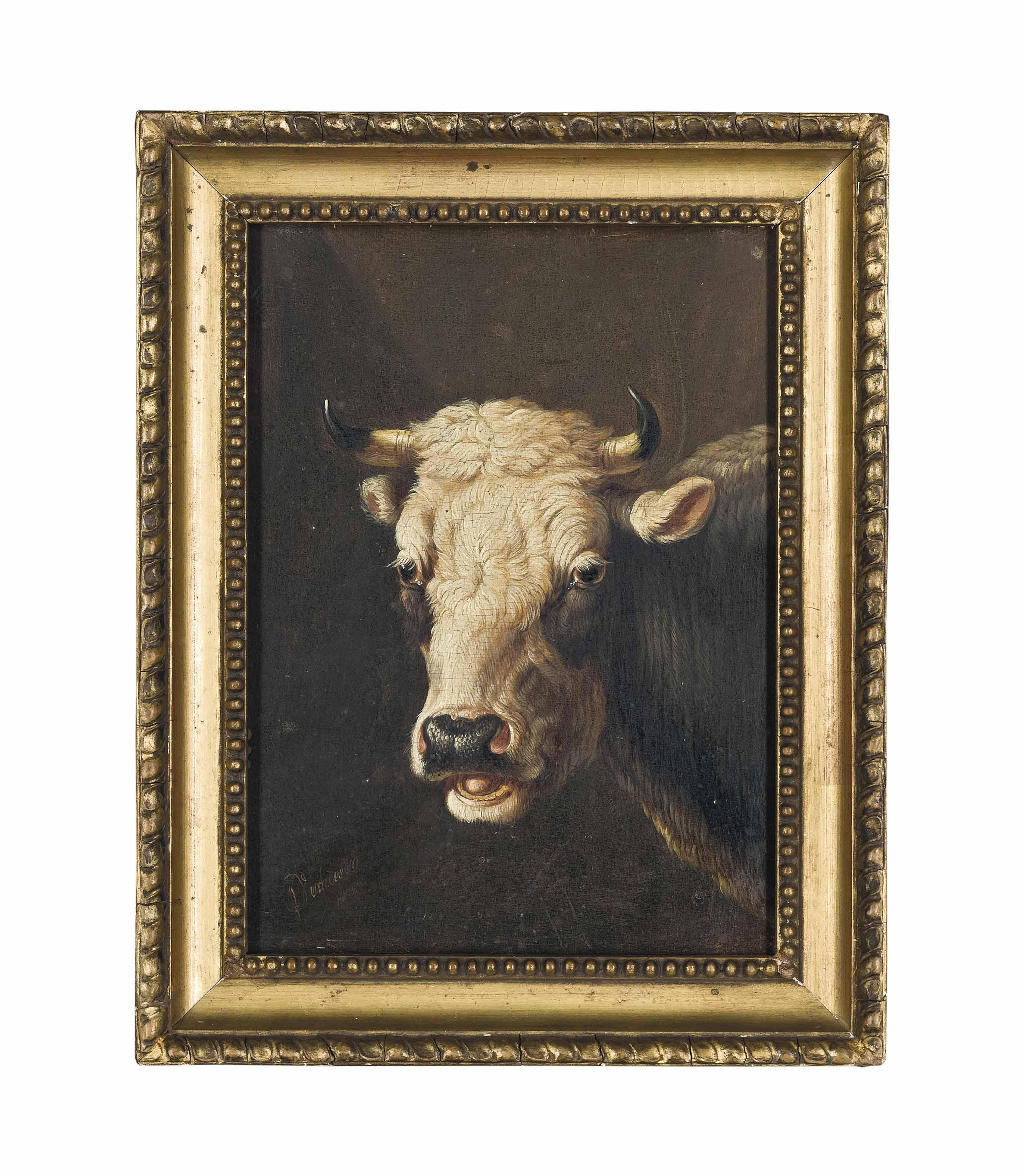 Albertus Verhoesen - A Short Horn Bull