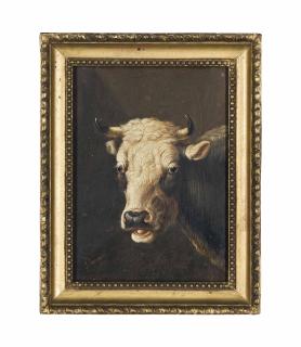 Albertus Verhoesen - A Short Horn Bull