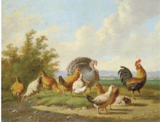 Albertus Verhoesen - A Turkey And Fowl In A Landscape