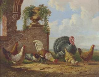 Albertus Verhoesen - A Turkey And Other Fowl In A Garden