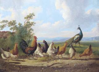 Albertus Verhoesen - Cheerful chickens