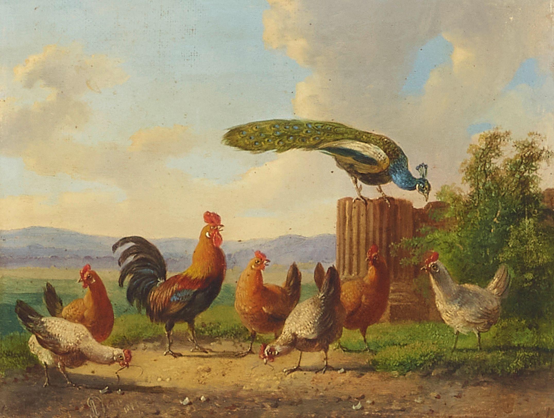Albertus Verhoesen - Chickens and a peacock in a landscape