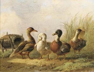 Albertus Verhoesen - Ducks