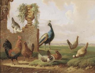 Albertus Verhoesen - Poultry and a peacock by a ruin