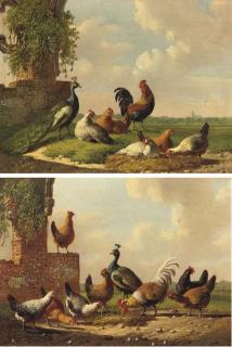 Albertus Verhoesen - Poultry by a ruin