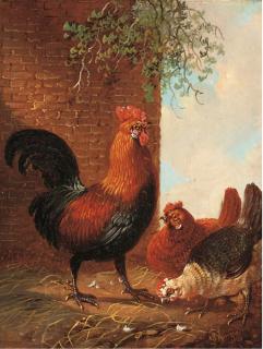 Albertus Verhoesen - Poultry feeding by a wall; and Another similar