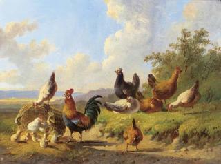 Albertus Verhoesen - Poultry in a meadow