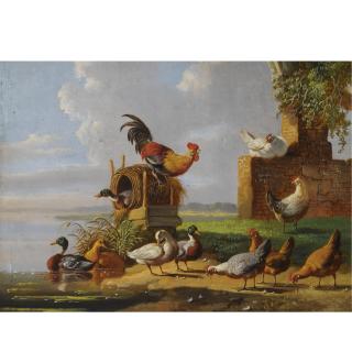 Albertus Verhoesen - Poultry On The Waterfront