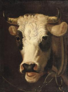 Albertus Verhoesen - The Bull