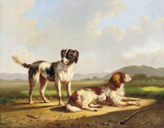 Albertus Verhoesen - Two hunting dogs in a summer landscape