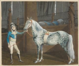 Albrecht Adam - Der Reitknecht Bayer mit einem Apfelschimmel in der Reitschule