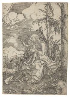 Albrecht Altdorfer - The Virgin with the blessing Child in a Landscape