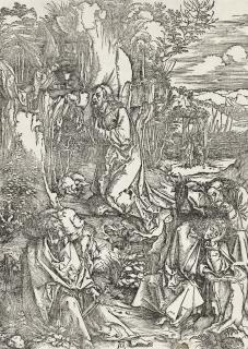 Albrecht Dürer - \