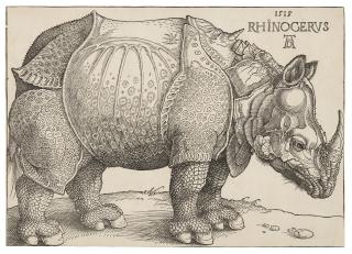 Albrecht Dürer - Rhinoceros
