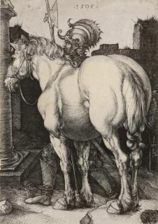 Albrecht Dürer - The Large Horse
