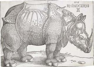 Albrecht Dürer - The Rhinoceros (B. 136; M., Holl. 273)