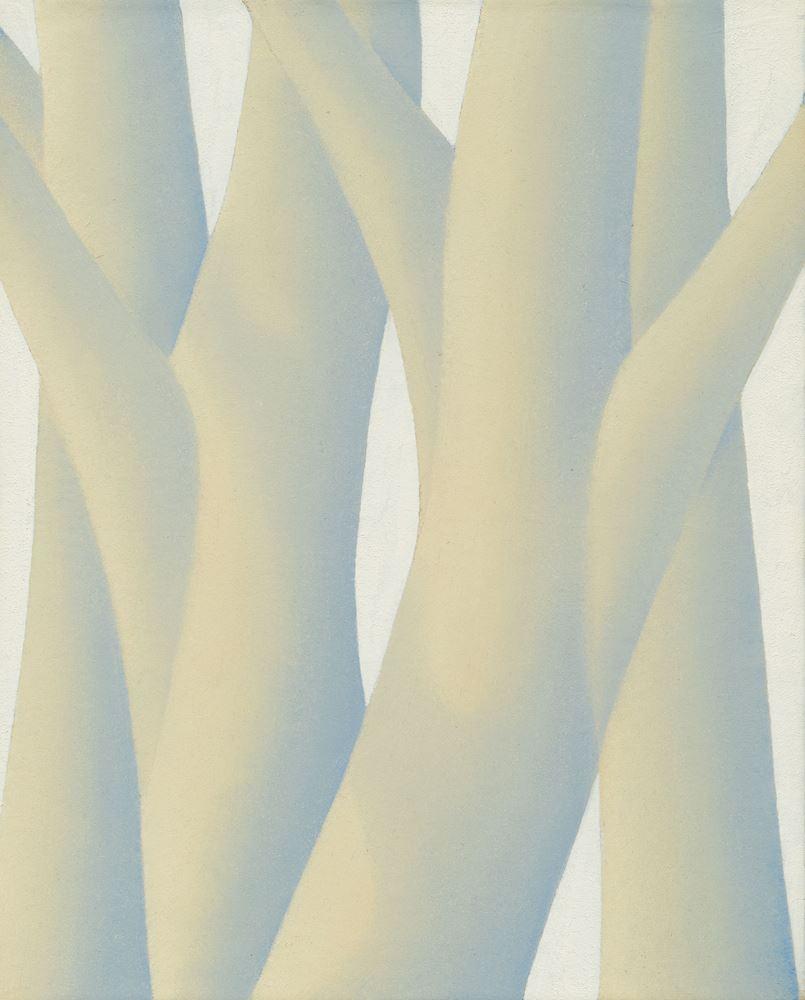 Albrecht Schnider - Trees. 1993.