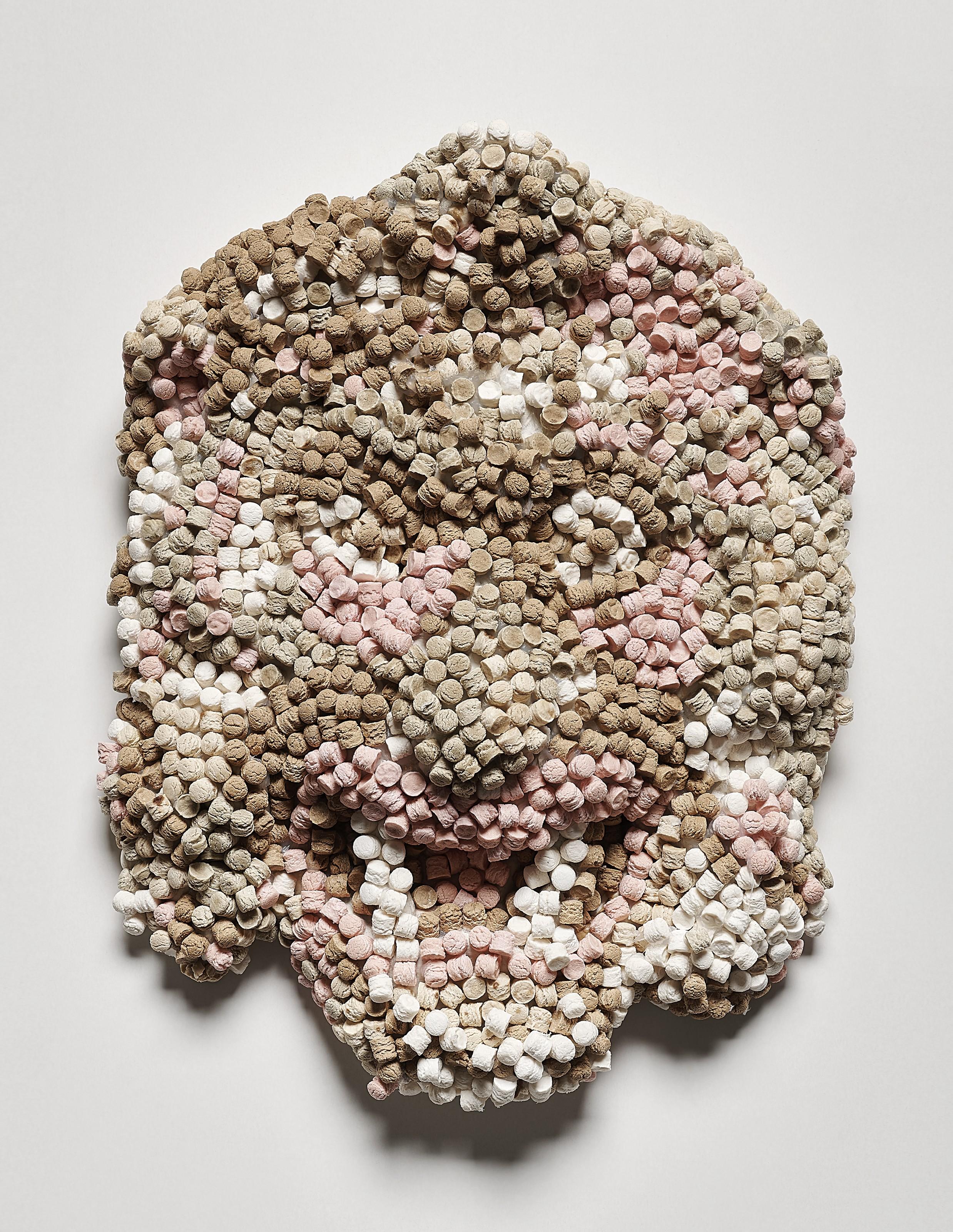 Aldo Mondino - Il leone di Giuda