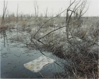 Alec Soth - Helena, Arkansas, 2002