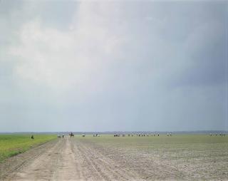 Alec Soth - The Farm, Angola State Prison, Angola, La, 2002