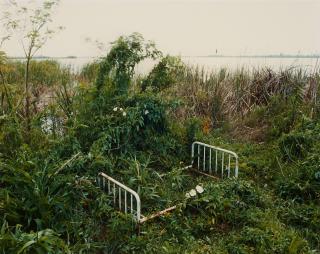 Alec Soth - Venice, Louisiana