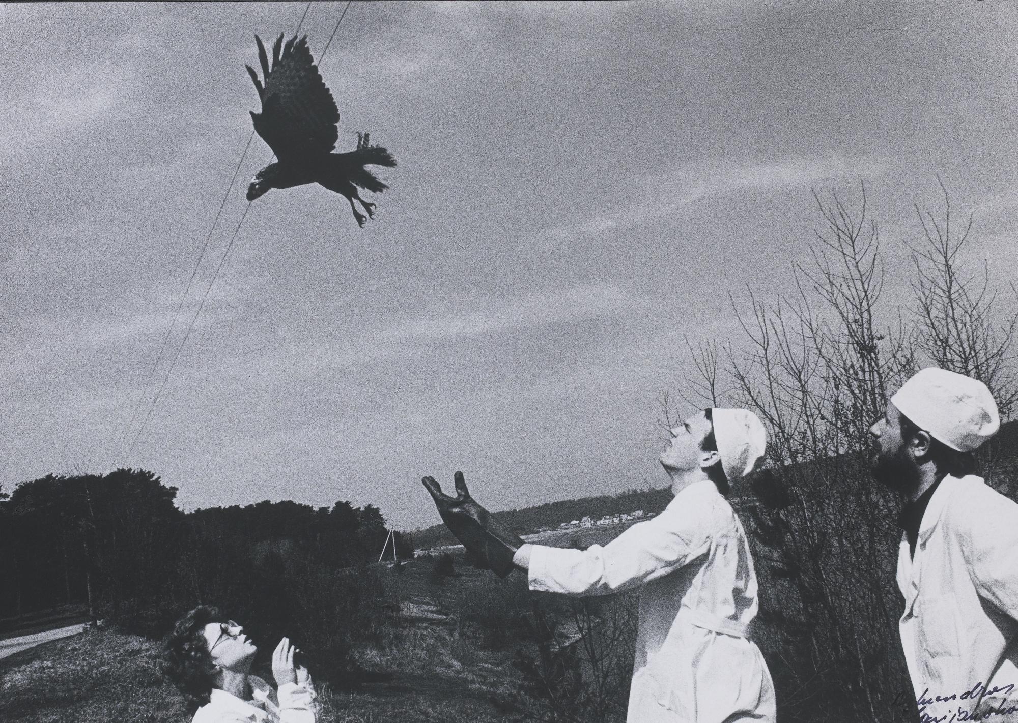 Aleksandras Macijauskas - In The Market And In The Veterinary Clinic