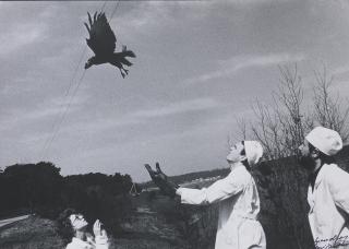 Aleksandras Macijauskas - In The Market And In The Veterinary Clinic