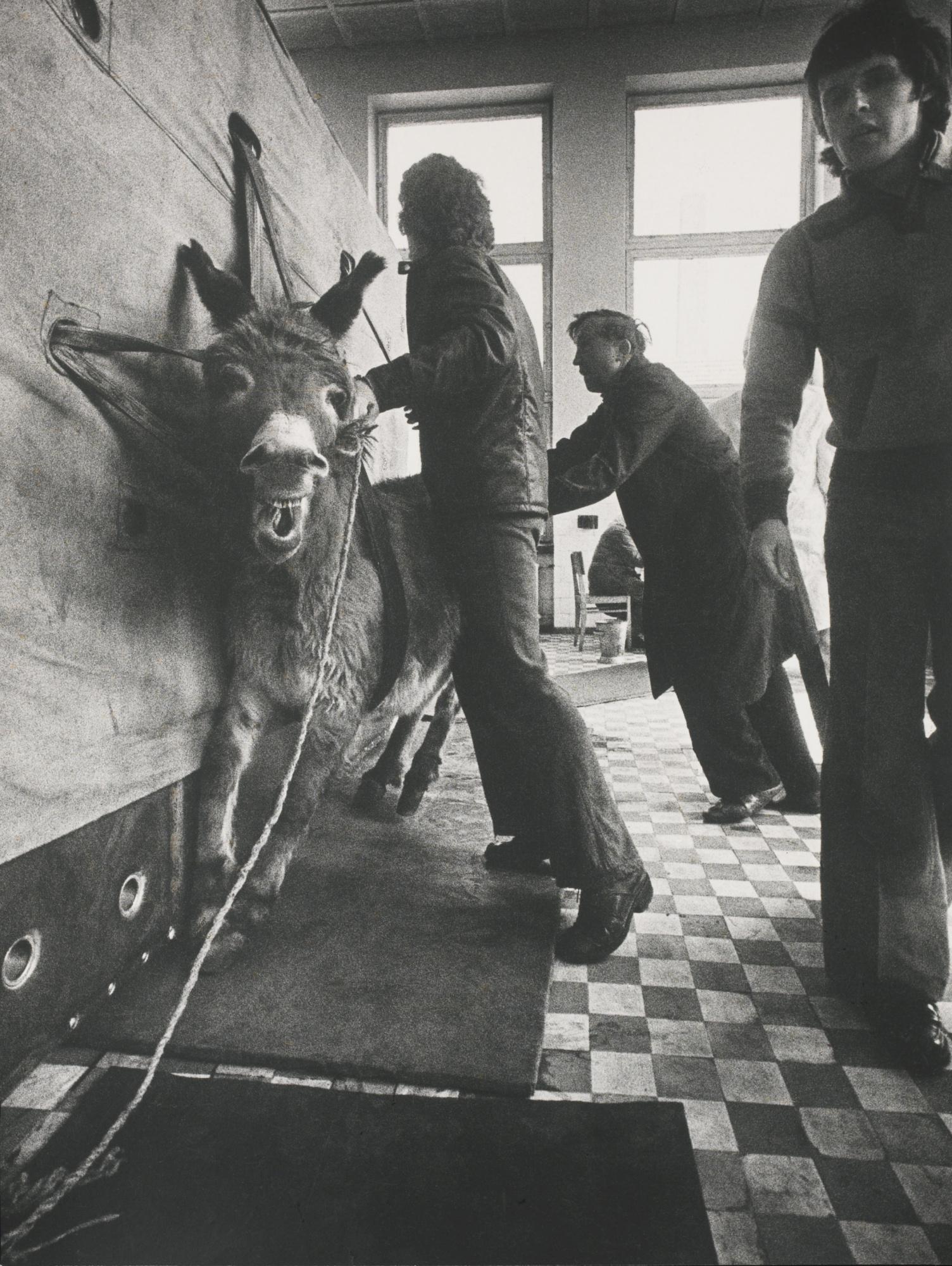 Aleksandras Macijauskas - Two Works From Lithuanian Village Markets Series; Untitled, From Veterinary Clinics Series