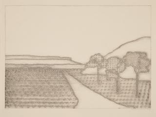 Alena Kucerová - Landscape