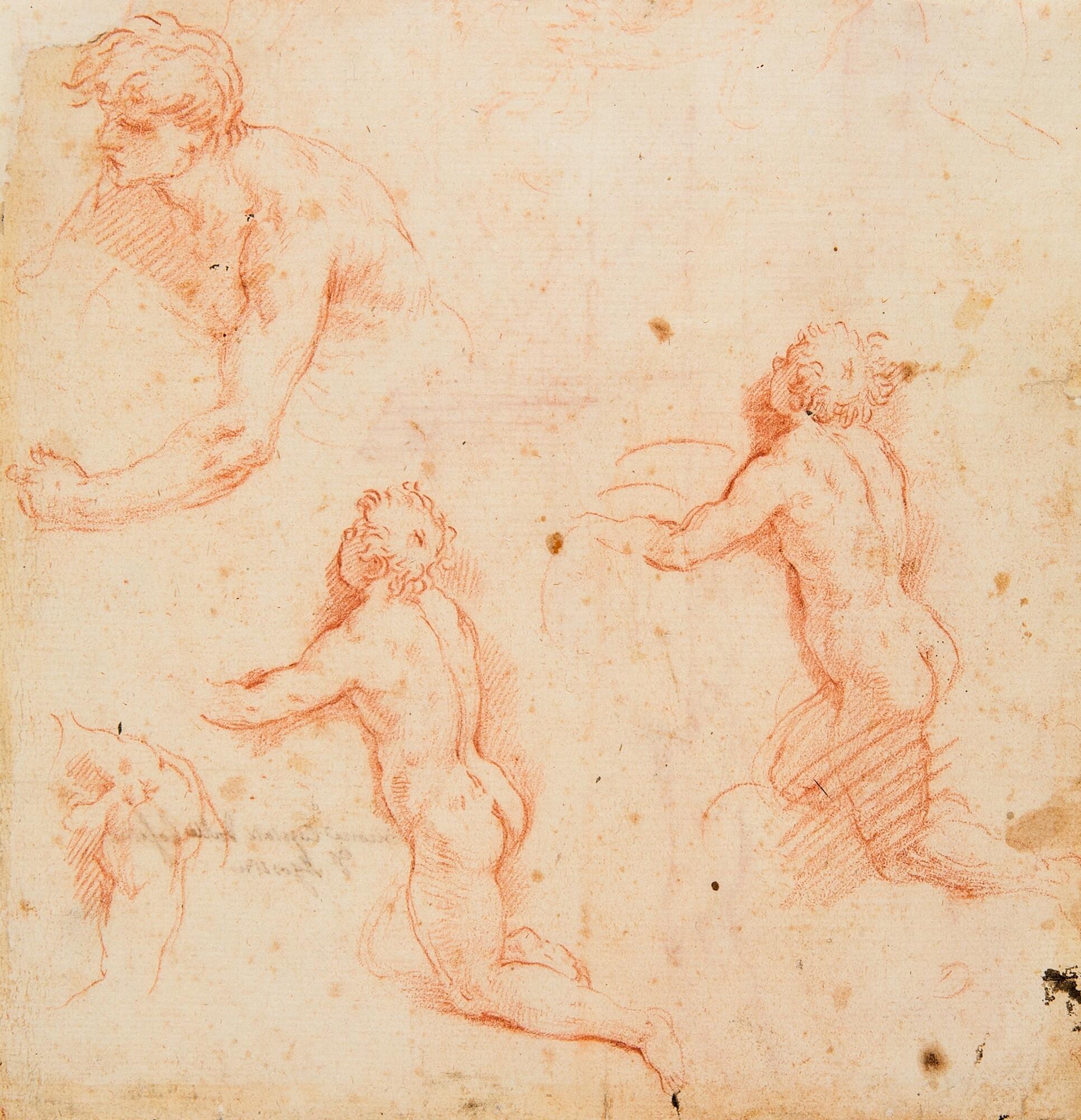 Alessandro Di Agostino Casolani - Studien eines männlichen Aktes. Verso: Arm-, Bein- und