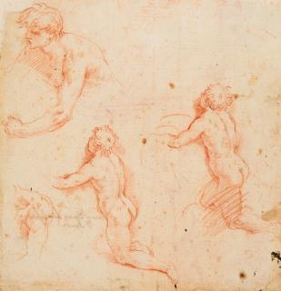 Alessandro Di Agostino Casolani - Studien eines männlichen Aktes. Verso: Arm-, Bein- und