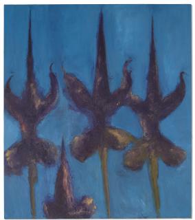 Alessandro Twombly - Iris Auranitica