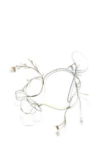 Alex da Corte - Astral Vascular / Week 2