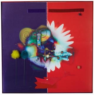 Alex Da Corte - Untitled (Perfect Lovers)