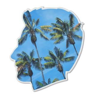 Alex Israel - Self-Portrait (Palms)