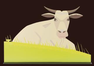 Alex Katz - Cow