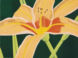 Alex Katz - Day Lily 1, 1969