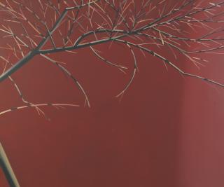 Alex Katz - Red Branch