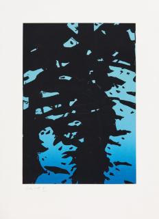 Alex Katz - Reflection 1.