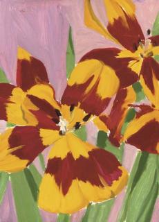 Alex Katz - Tulips