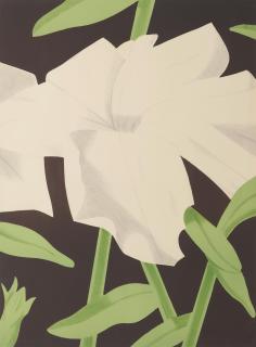 Alex Katz - White Petunia