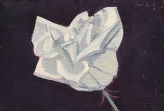 Alex Katz - White Rose