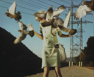 Alex Prager - Eve, 2008